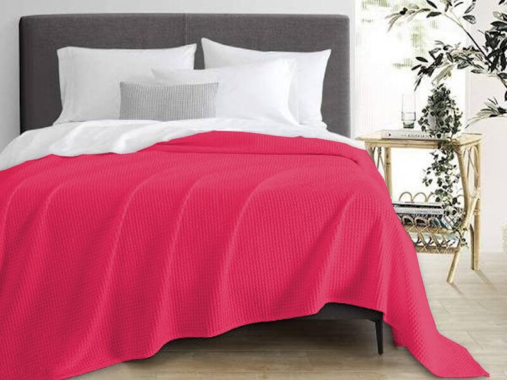 Κουβέρτα Υπέρδιπλη Πικέ Βαμβακερή Φούξια Γαρύφαλλο 230x250 | Γαρύφαλλο - Λευκά Είδη